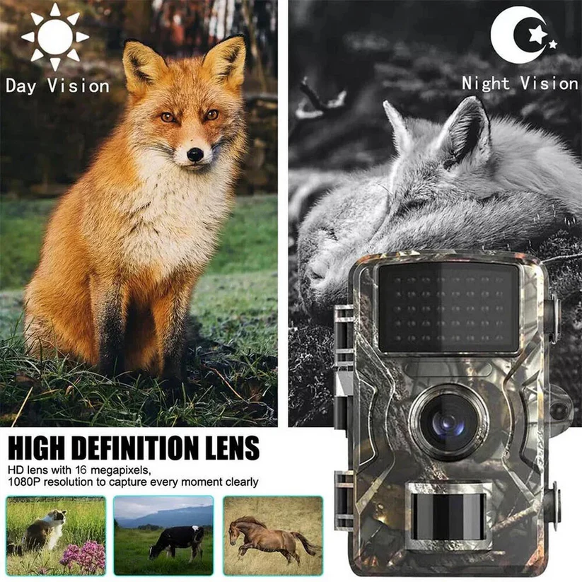 Trail Camera with 16MP Photos and 1080P Video, 38 No-Glow Infrared LEDs
