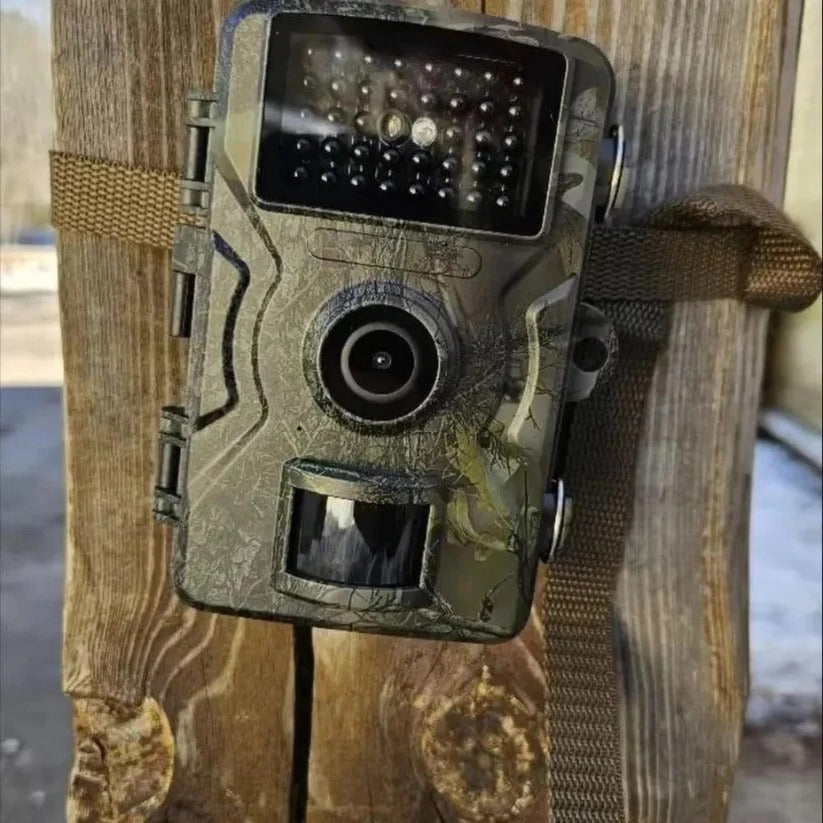 Trail Camera with 16MP Photos and 1080P Video, 38 No-Glow Infrared LEDs