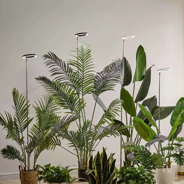 Grow Light for Indoor Plants