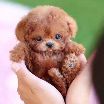Interactive Robotic Puppy Toy with Voice, Touch, and Sound Recognition