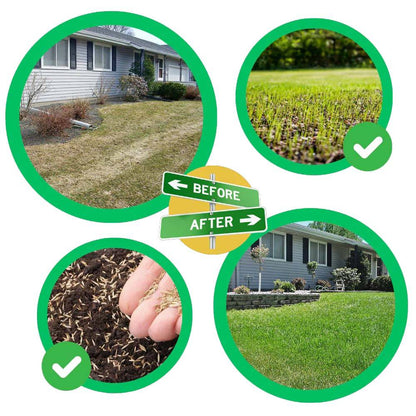 Grass Seed Mat with Pre-Embedded Seeds and Micro Fertilizer, Biodegradable