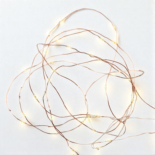 Revana Outdoor LED String Lights for Garden, 13.8ft